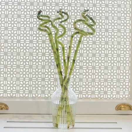 Loop Bosphorus Otel İstanbul