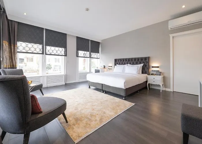 Loop Bosphorus ホテル 4*